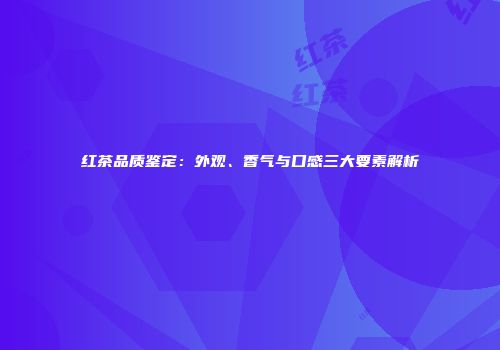 红茶品质鉴定：外观、香气与口感三大要素解析