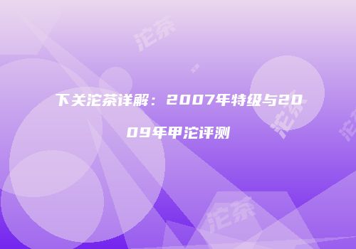 下关沱茶详解：2007年特级与2009年甲沱评测