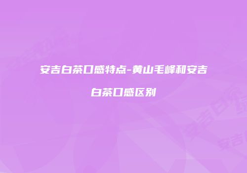 安吉白茶口感特点-黄山毛峰和安吉白茶口感区别