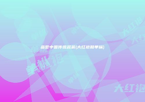 品尝中国传统名茶(大红袍和单枞)