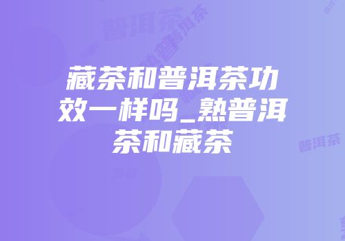 藏茶和普洱茶功效一样吗_熟普洱茶和藏茶