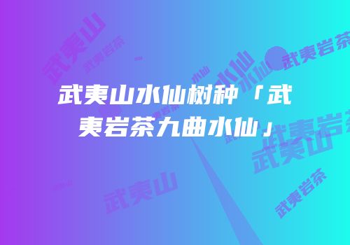 武夷山水仙树种「武夷岩茶九曲水仙」