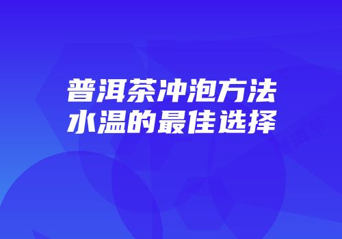 普洱茶冲泡方法水温的最佳选择