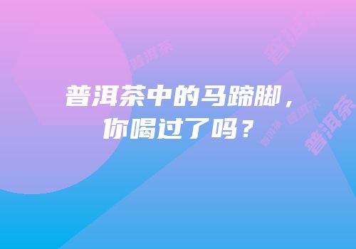 普洱茶中的马蹄脚，你喝过了吗？