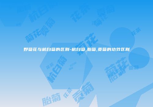 野菊花与杭白菊的区别-杭白菊,胎菊,贡菊的功效区别