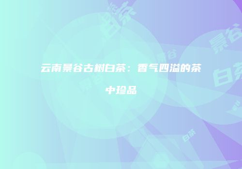 云南景谷古树白茶：香气四溢的茶中珍品