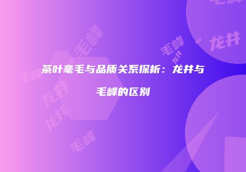 茶叶毫毛与品质关系探析：龙井与毛峰的区别