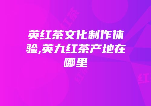 英红茶文化制作体验,英九红茶产地在哪里