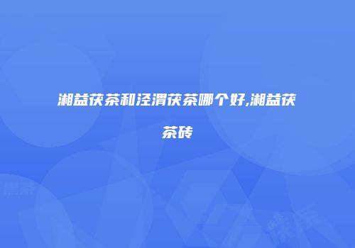 湘益茯茶和泾渭茯茶哪个好,湘益茯茶砖