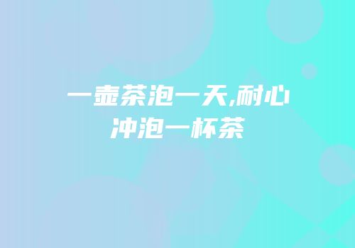 一壶茶泡一天,耐心冲泡一杯茶