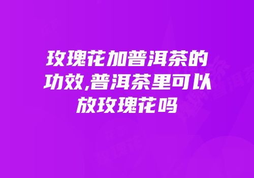 玫瑰花加普洱茶的功效,普洱茶里可以放玫瑰花吗