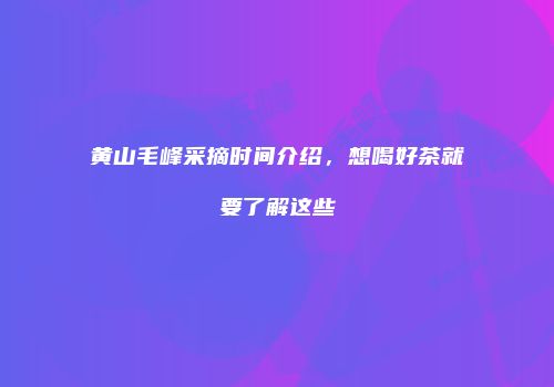 黄山毛峰采摘时间介绍，想喝好茶就要了解这些