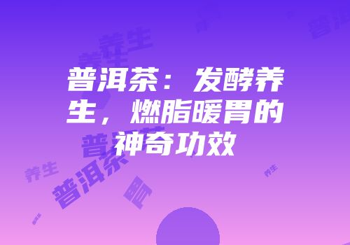 普洱茶：发酵养生，燃脂暖胃的神奇功效