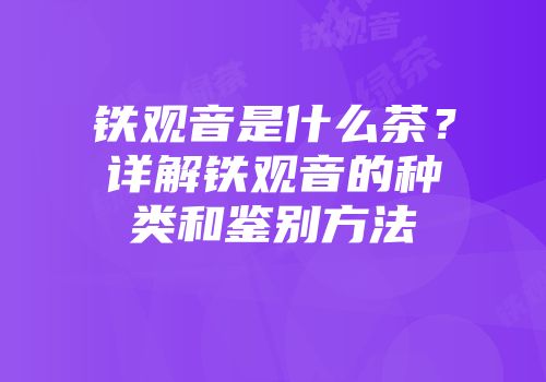 铁观音是什么茶？详解铁观音的种类和鉴别方法