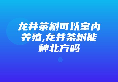 龙井茶树可以室内养殖,龙井茶树能种北方吗