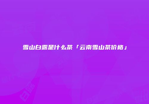 雪山白露是什么茶「云南雪山茶价格」