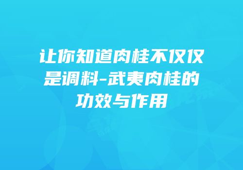 让你知道肉桂不仅仅是调料-武夷肉桂的功效与作用