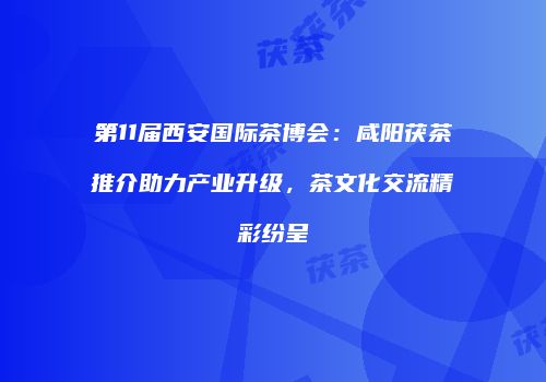 第11届西安国际茶博会：咸阳茯茶推介助力产业升级，茶文化交流精彩纷呈