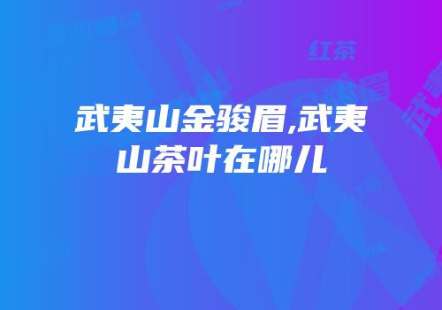武夷山金骏眉,武夷山茶叶在哪儿