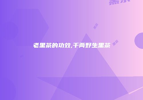 老黑茶的功效,千两野生黑茶