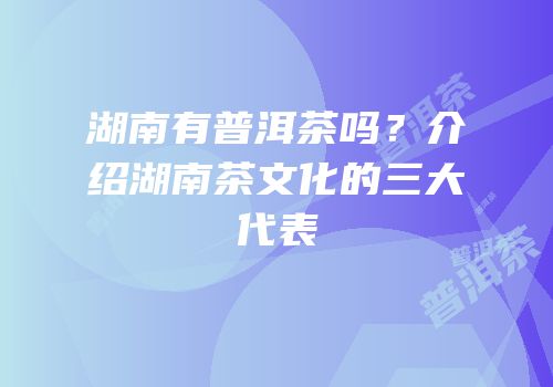 湖南有普洱茶吗？介绍湖南茶文化的三大代表