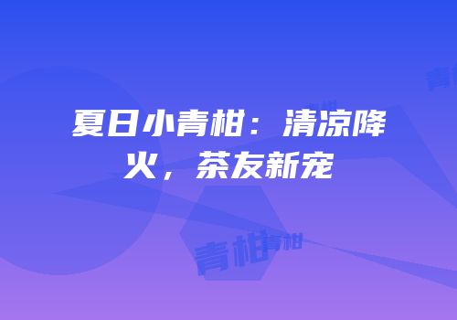夏日小青柑：清凉降火，茶友新宠