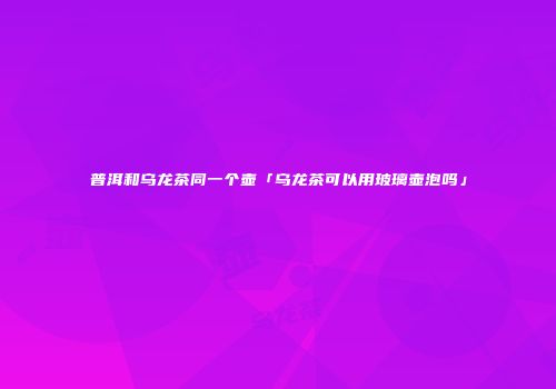 普洱和乌龙茶同一个壶「乌龙茶可以用玻璃壶泡吗」