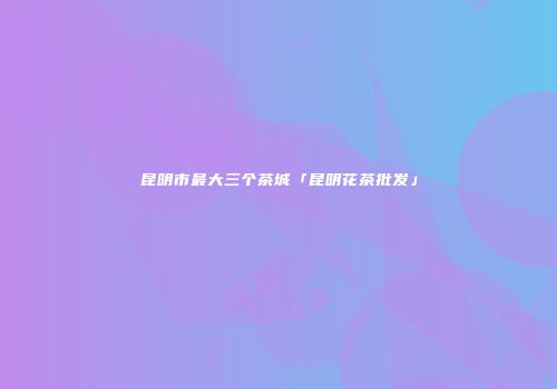 昆明市最大三个茶城「昆明花茶批发」