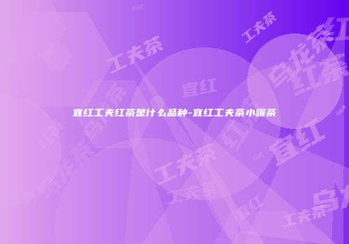 宜红工夫红茶是什么品种-宜红工夫茶小罐茶