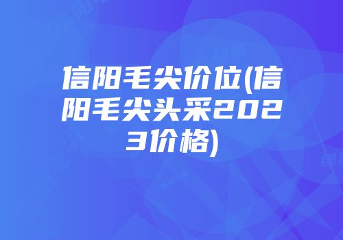 信阳毛尖价位(信阳毛尖头采2023价格)