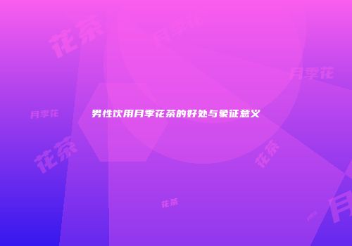 男性饮用月季花茶的好处与象征意义