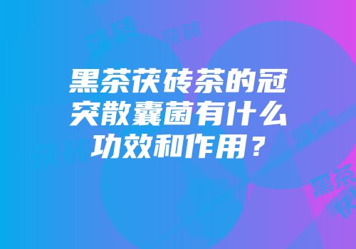 黑茶茯砖茶的冠突散囊菌有什么功效和作用？