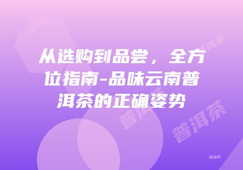 从选购到品尝，全方位指南-品味云南普洱茶的正确姿势