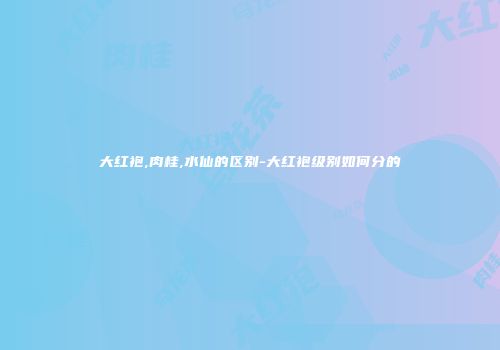 大红袍,肉桂,水仙的区别-大红袍级别如何分的