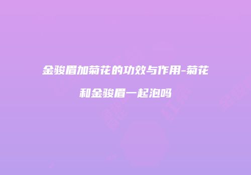 金骏眉加菊花的功效与作用-菊花和金骏眉一起泡吗