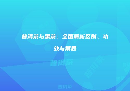普洱茶与黑茶：全面解析区别、功效与禁忌