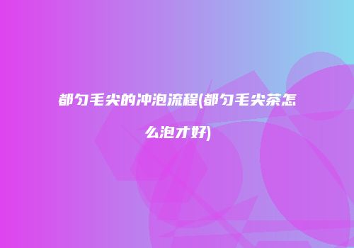 都匀毛尖的冲泡流程(都匀毛尖茶怎么泡才好)