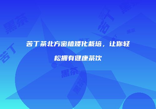 苦丁茶北方密植矮化栽培，让你轻松拥有健康茶饮