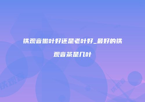 铁观音嫩叶好还是老叶好_最好的铁观音茶是几叶