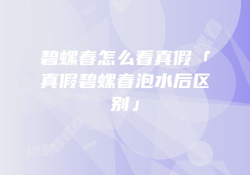 碧螺春怎么看真假「真假碧螺春泡水后区别」