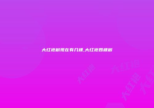 大红袍树现在有几棵,大红袍四棵树