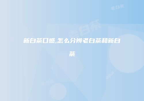 新白茶口感,怎么分辨老白茶和新白茶