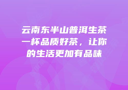 云南东半山普洱生茶一杯品质好茶，让你的生活更加有品味