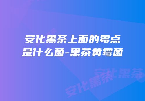 安化黑茶上面的霉点是什么菌-黑茶黄霉菌