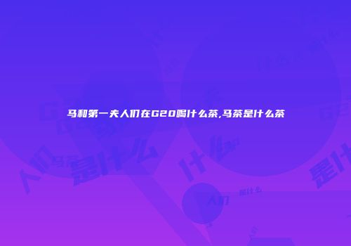马和第一夫人们在G20喝什么茶,马茶是什么茶