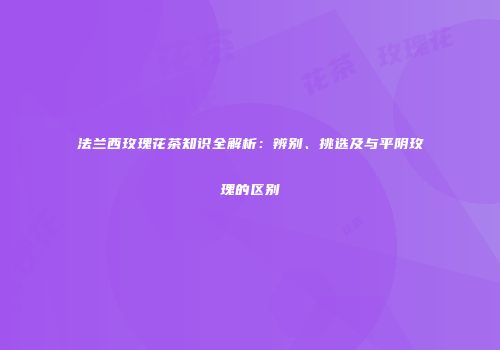 法兰西玫瑰花茶知识全解析：辨别、挑选及与平阴玫瑰的区别