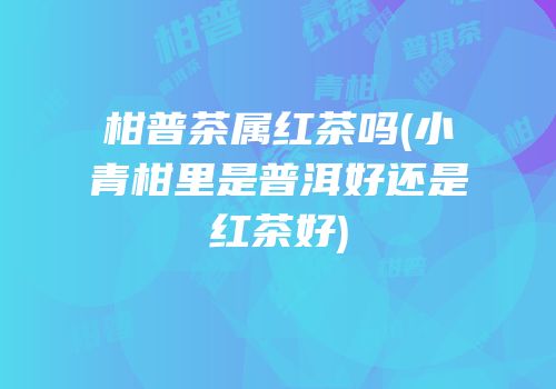 柑普茶属红茶吗(小青柑里是普洱好还是红茶好)