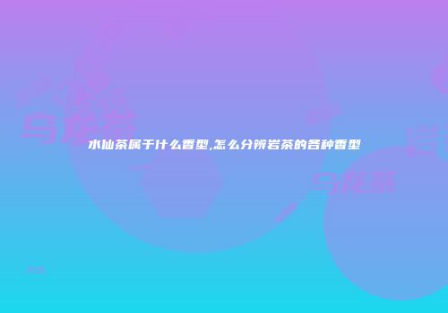 水仙茶属于什么香型,怎么分辨岩茶的各种香型