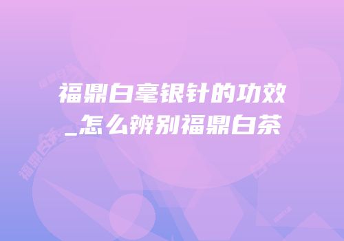 福鼎白毫银针的功效_怎么辨别福鼎白茶