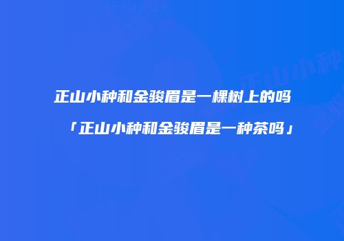 正山小种和金骏眉是一棵树上的吗「正山小种和金骏眉是一种茶吗」